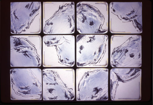 A-M Tremblay. À vol d'oiseau (As the Crow Flies). 1984. colloidal porcelain sprayed on porcelain. Each tile is 20.3x20.3x.95 cm thick. Photo A-M Tremblay. 